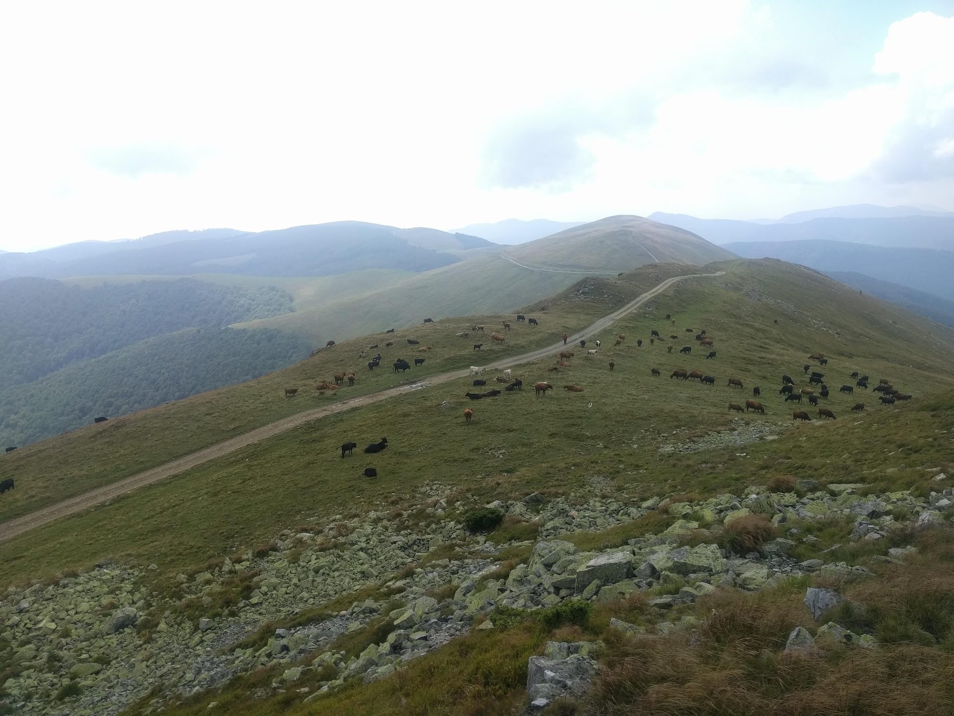 Carpathian landscape around Pasul Vâlcan, Vâlcan and Parâng mountains, Gorj, Romania